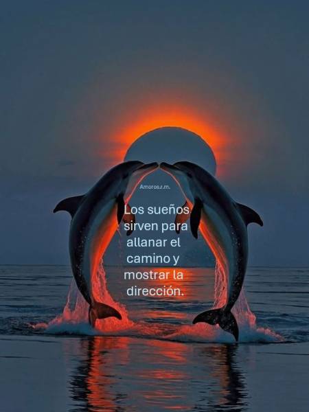 Cuestión de piel.Tarot Delfín.