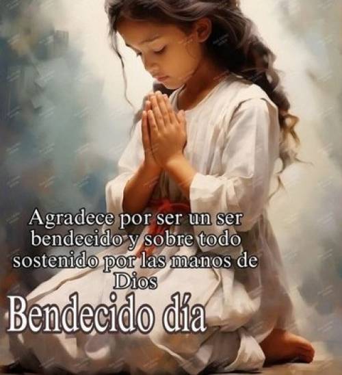 Amanecer y sentir que somos más que ayer porque el cielo será el límite.Tarot Económico en Foros.
